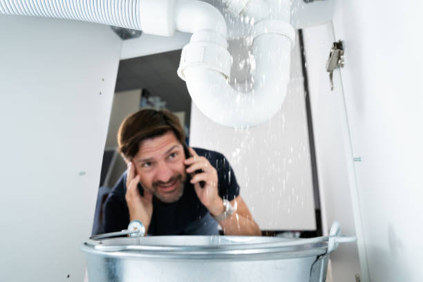 Best Local Plumber Services  in Wilder, KY