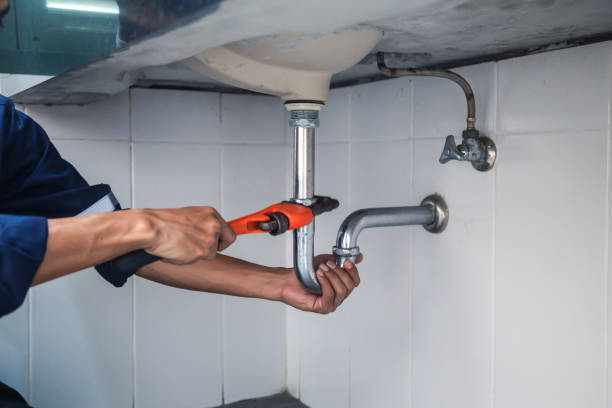 Best Clogged Drain Plumber  in Wilder, KY
